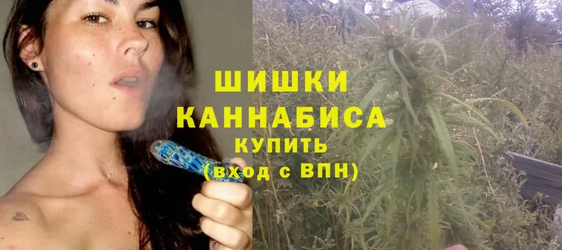 Шишки марихуана THC 21%  купить   Новороссийск 